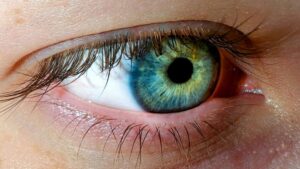 Detailed macro shot of a blue-green human eye showcasing intricate details of the iris.